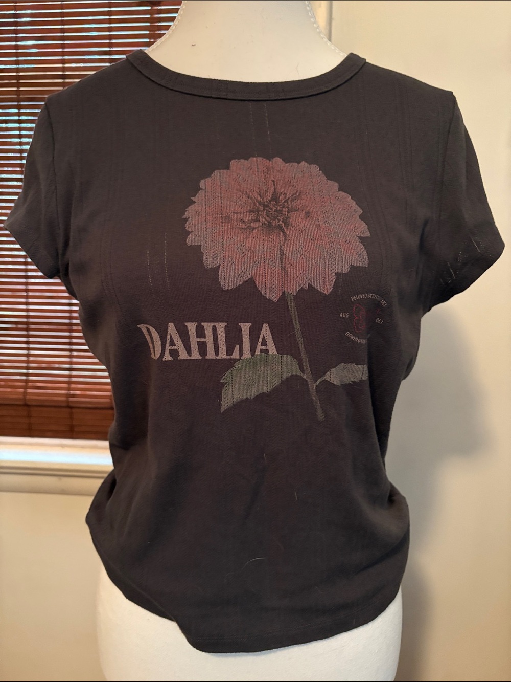 American Eagle Outfitters Black Dahlia Graphic Crop Tee